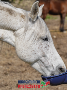 ACQUA_CAVALLO
