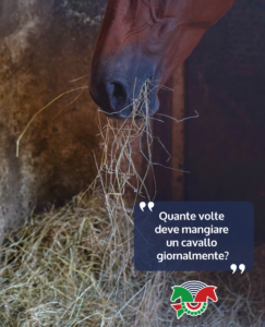 Domande_FIENO_MP_2026