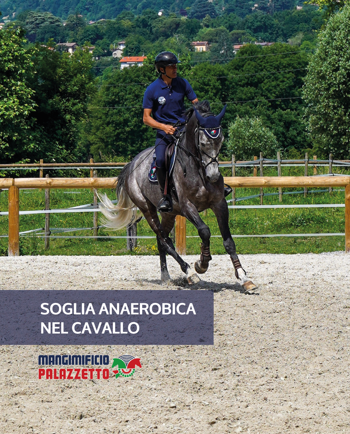 Settembre_1_1_articoliPalazzetto_2025